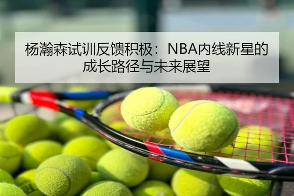 杨瀚森试训反馈积极：NBA内线新星的成长路径与未来展望